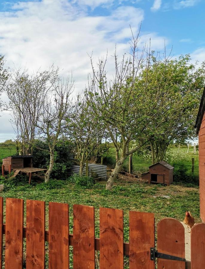 The Nook @ Rowan Tree Cottage Ballymoney Εξωτερικό φωτογραφία